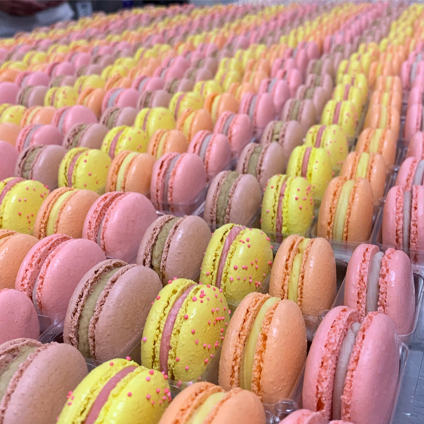 Corporate Macaron Shipments