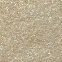 Champagne Shimmer Edible Glitter
